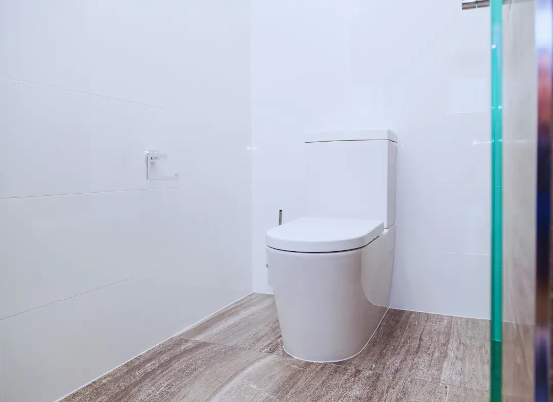 Remplacement de wc Robion